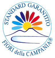 standard fiori della campania